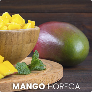 Mango Horeca